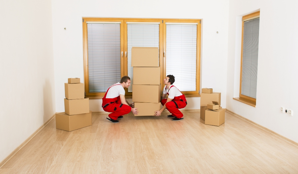 Maximise Efficiency of Packing Services