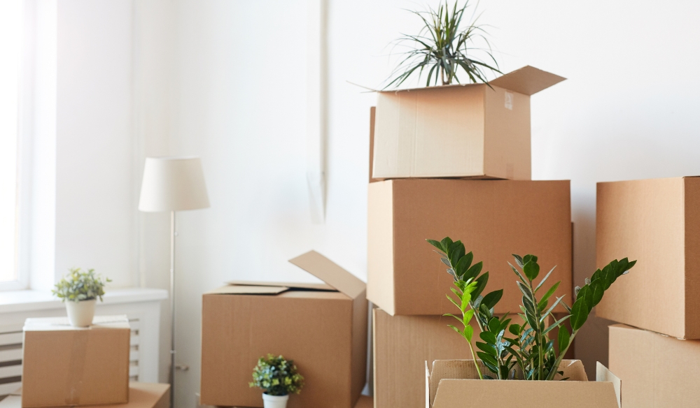Tips for Choosing Items to Pack with Partial Packing Service